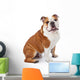 English Bulldog Sitting Wall Decal