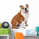 English Bulldog Sitting Wall Decal