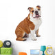 English Bulldog Sitting Wall Decal
