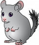 Chinchilla Wall Decal