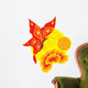 Chinese Style Butterfly and Wall Decal