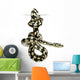 Jungle Carpet Python Morelia Wall Decal