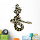 Jungle Carpet Python Morelia Wall Decal