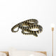 Python Morelia Spilota Variegata Wall Decal