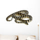 Python Morelia Spilota Variegata Wall Decal