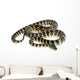 Python Morelia Spilota Variegata Wall Decal