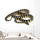 Python Morelia Spilota Variegata Wall Decal