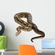 Common Northern Boa Boa Wall Decal