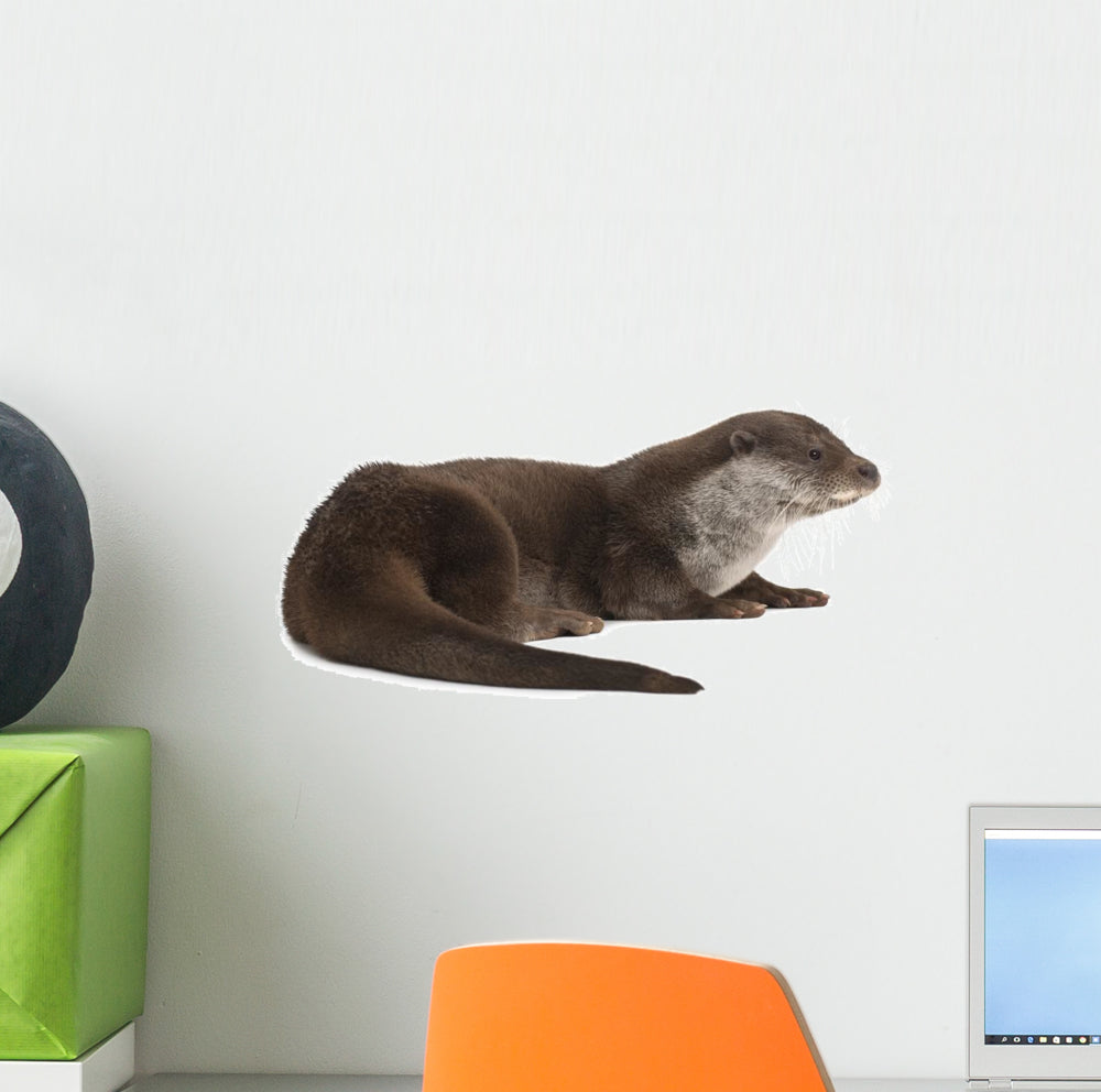 European Otter Lutra Lutra Wall Decal Wallmonkeys