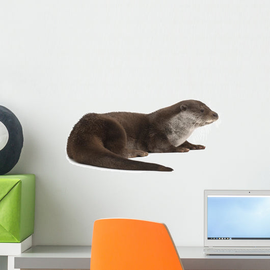 European Otter Lutra Lutra Wall Decal