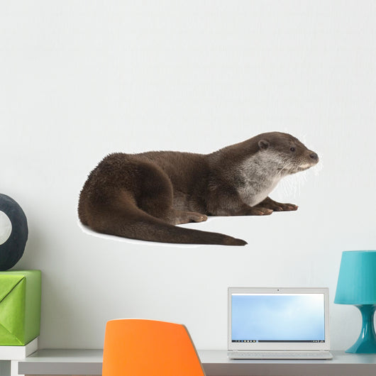European Otter Lutra Lutra Wall Decal