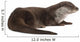 European Otter Lutra Lutra Wall Decal