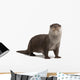 Curious European Otter Wall Decal