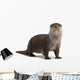 Curious European Otter Wall Decal