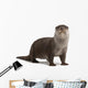 Curious European Otter Wall Decal