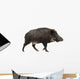 Wild Boar Also Wild Wall Decal