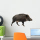 Wild Boar Also Wild Wall Decal