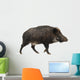 Wild Boar Also Wild Wall Decal