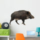 Wild Boar Also Wild Wall Decal