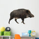 Wild Boar Also Wild Wall Decal