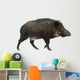 Wild Boar Also Wild Wall Decal