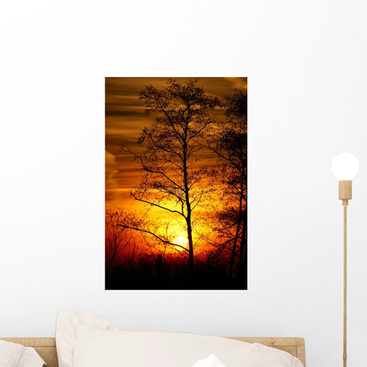 Tree Silhouetted against the Sunset Wall Decal