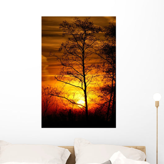Tree Silhouetted against the Sunset Wall Decal