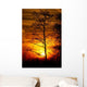 Tree Silhouetted against the Sunset Wall Decal