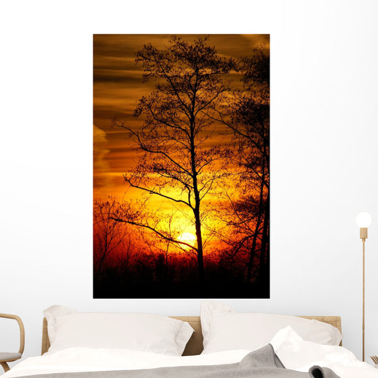 Tree Silhouetted against the Sunset Wall Decal