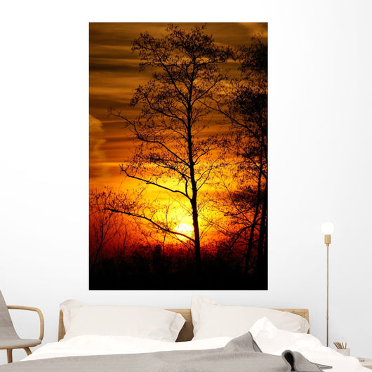 Tree Silhouetted against the Sunset Wall Decal
