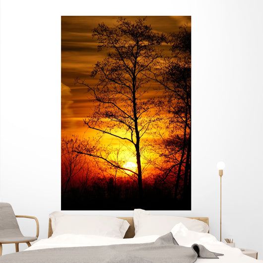 Tree Silhouetted against the Sunset Wall Decal