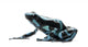 Green and Black Poison Wall Decal