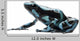 Green and Black Poison Wall Decal