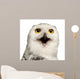 Female Snowy Owl Wall Decal