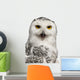 Female Snowy Owl Bubo Wall Decal