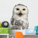 Female Snowy Owl Bubo Wall Decal