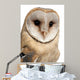 Barn Owl Wall Decal