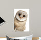 Barn Owl Face Wall Decal