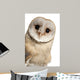 Barn Owl Face Wall Decal