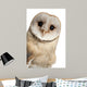 Barn Owl Face Wall Decal