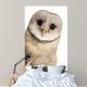 Barn Owl Face Wall Decal