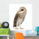 Barn Owl Left Side Wall Decal