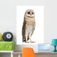 Watchful Barn Owl Wall Decal