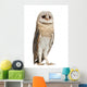 Watchful Barn Owl Wall Decal