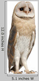 Watchful Barn Owl Wall Decal