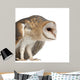 Hunched Barn Owl Wall Decal