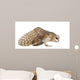 Landing Barn Owl Wall Decal
