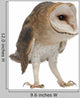 Standing Barn Owl Wall Decal