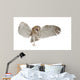 Barn Owl Tyto Alba 4 Months Old Wall Decal