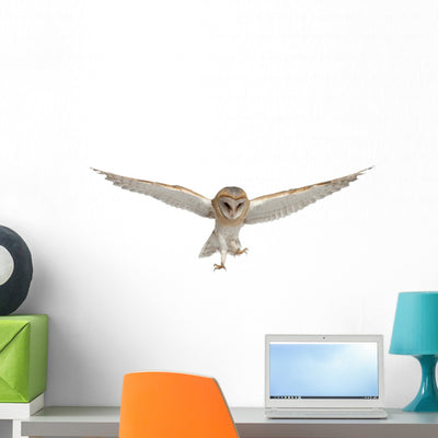 Flying Barn Owl Wall Decal shown on a wall